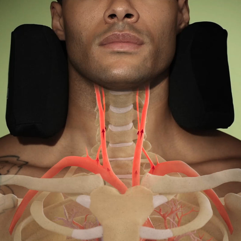 Circulation