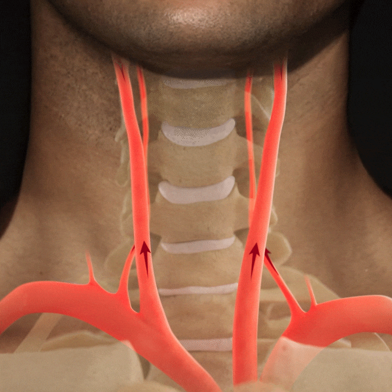 Circulation